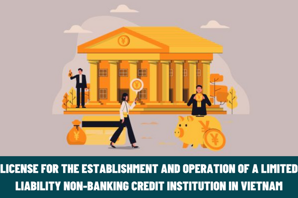 What are the procedures for granting a license for the establishment and operation of a limited liability non-banking credit institution in Vietnam?