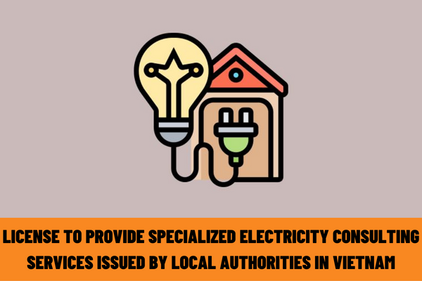 What are the procedures for issuance of a license to provide specialized electricity consulting services issued by local authorities in Vietnam?