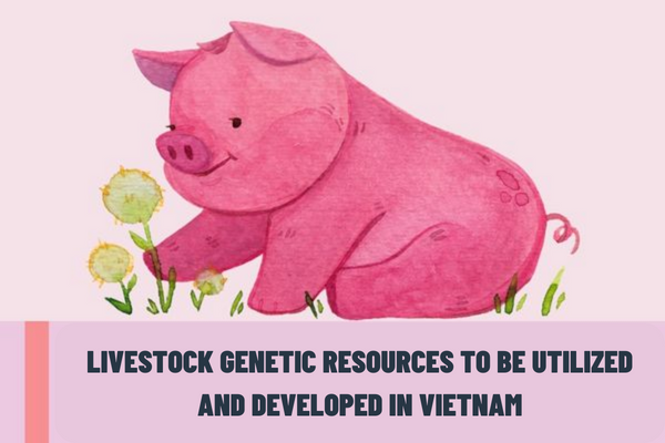 Can livestock genetic resources to be utilized and developed be removed from the list of conserved livestock genetic resources in Vietnam?