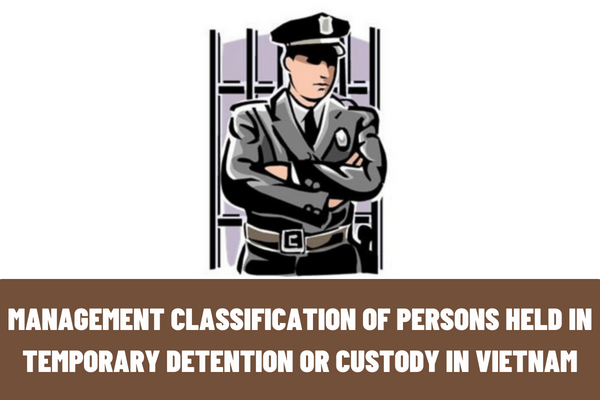 Who is the person in temporary detention and custody in Vietnam? What are the regulations on management classification of persons held in temporary detention or custody in Vietnam?