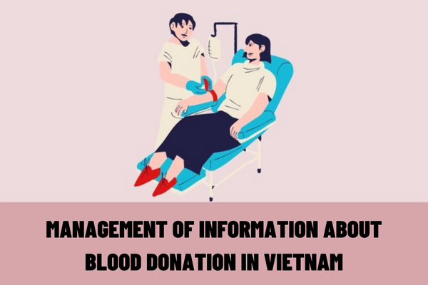 How should blood collecting facilities manage blood donor information in Vietnam? What are the responsibilities of the applicant for blood donation in Vietnam?