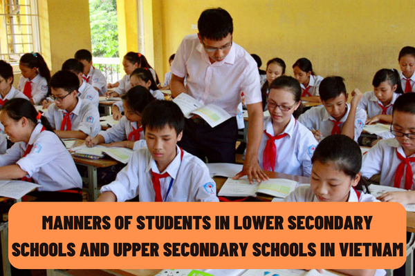 What are the standards of manners of students in lower secondary schools and upper secondary schools in Vietnam?