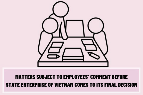 What are matters subject to employees’ comment before the state enterprise of Vietnam comes to its final decision?