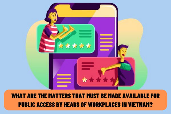 What are the matters that must be made available for public access by heads of workplaces in Vietnam?