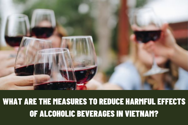 What are the measures to reduce harmful effects of alcoholic beverages in Vietnam? Who does the counseling to prevent and control harmful effects of alcoholic beverages focus on?