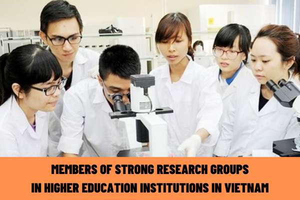 What are the responsibilities and rights of members of strong research groups in higher education institutions in Vietnam?