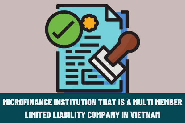 Procedures for granting a license to a microfinance institution that is a multi member limited liability company in Vietnam?