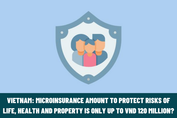 Vietnam: Microinsurance amount to protect the risks of life, health and property is only up to VND 120 million?