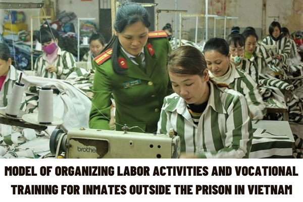 vietnam-which-criteria-must-be-met-in-the-pilot-model-of-organizing-labor-activities-and