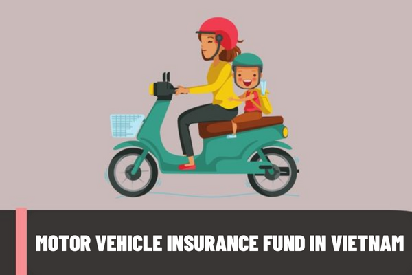 From what sources is motor vehicle insurance fund in Vietnam formed? What is the motor vehicle insurance fund used for?