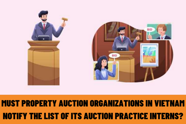 Must property auction organizations in Vietnam notify the list of its auction practice interns to the provincial-level Justice Department of the locality where it is located?