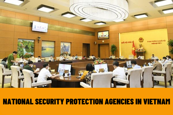 Which agencies are in charge of national security protection in Vietnam? What are the powers and responsibilities of national security protection agencies in Vietnam?