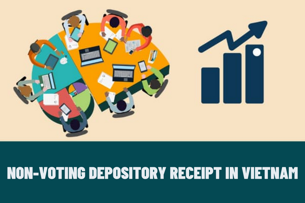 Are non-voting depository receipts ordinary shares? What are the rights of ordinary shareholders in Vietnam?