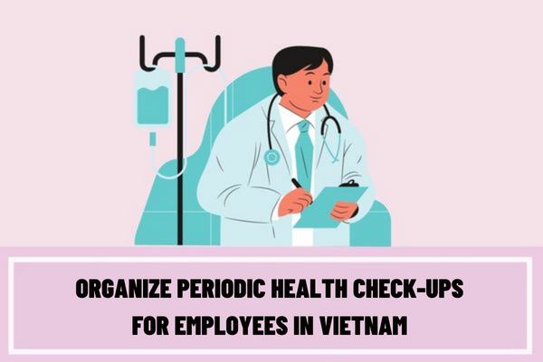 How often does the employer have to organize periodic health check-ups for employees in Vietnam?