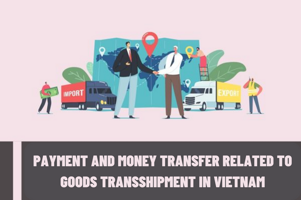 What are the principles of payment and money transfer related to goods transshipment in Vietnam?