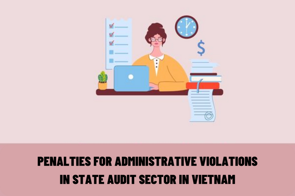 What are the primary penalties for administrative violations in state audit sector in Vietnam?