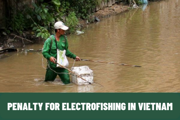 How much is the penalty for electrofishing in Vietnam? Is electrofishing liable to criminal prosecution in Vietnam?