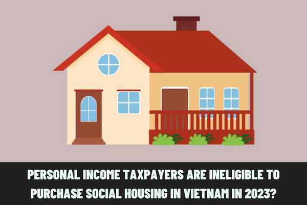 Personal income taxpayers are ineligible to purchase social housing in Vietnam in 2023? What are the rules for social housing lease, lease purchase or sale?