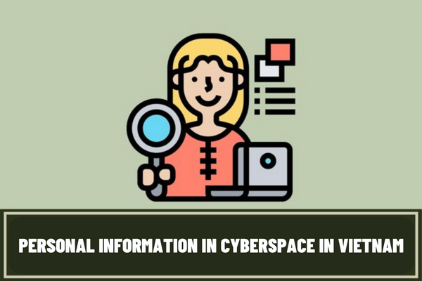 What is personal information in Vietnam? What are the current principles of protecting personal information in cyberspace?