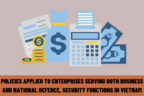 What are the policies applied to enterprises serving both business and national defence, security functions, and their employees in Vietnam?