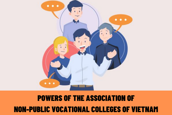 What are the powers of the Association of Non-Public Vocational Colleges of Vietnam?