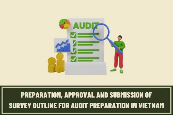 How to conduct the preparation, approval and submission of the survey outline for audit preparation in state audit activities in Vietnam?