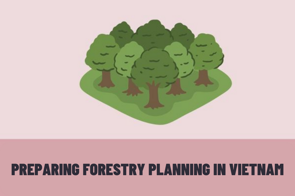 What rules must be followed when preparing forestry planning in Vietnam? What contents must be included in the forestry planning in Vietnam?