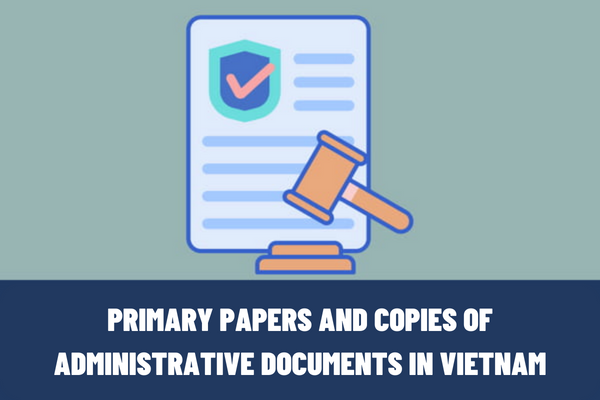 What are the primary papers and copies of administrative documents? What are the regulations on the forms of duplication of administrative documents in Vietnam?