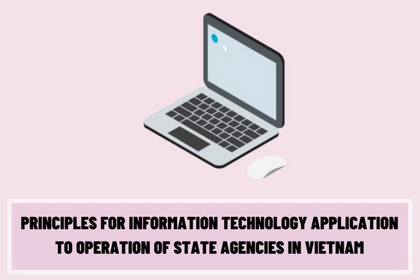 What are the principles for information technology application to operation of state agencies in Vietnam?