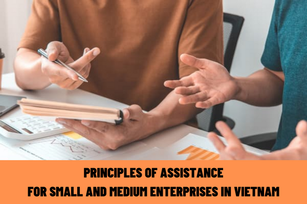 What are the principles of assistance for small and medium enterprises in Vietnam? What is assistance for enterprises converted from household businesses in Vietnam?