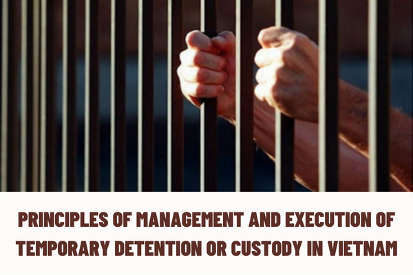 What are the principles of management and execution of temporary detention or custody in Vietnam?