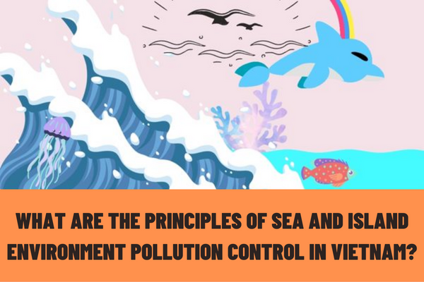 What are the principles of sea and island environment pollution control in Vietnam? What are the contents of sea and island environment pollution control in Vietnam?