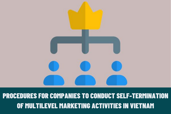 What are the procedures for companies to conduct self-termination of multilevel marketing activities in Vietnam from June 20, 2023?