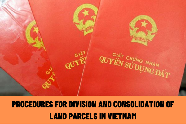 What are the procedures for division and consolidation of land parcels in Vietnam?