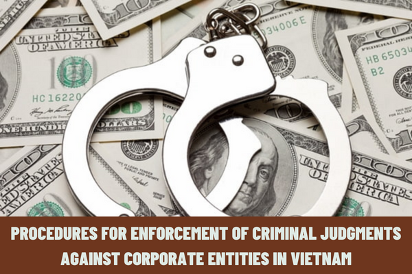 What are the procedures for enforcement of criminal judgments against corporate entities in Vietnam?