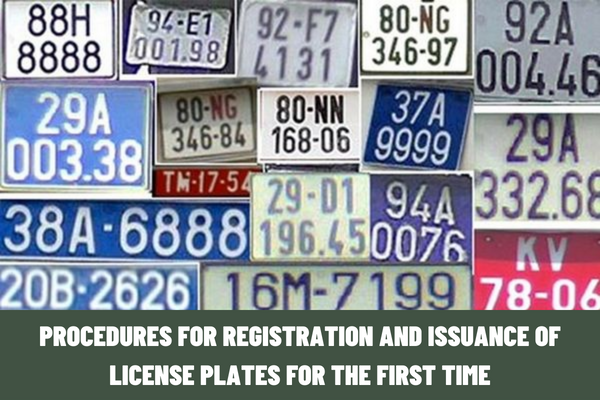 What are the procedures for registration and issuance of license plates for the first time at provincial authorities? What is the time limit for processing issuance of license plates in Vietnam?