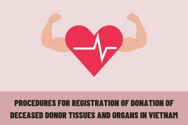 What are the procedures for registration of donation of deceased donor tissues and organs? What are the procedures for registration of cadaver donation in Vietnam?