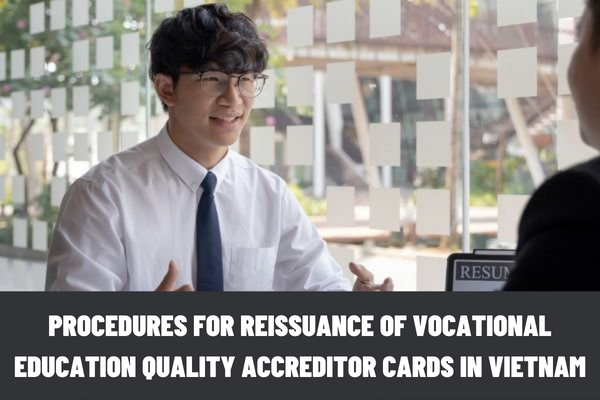 What are the procedures for reissuance of vocational education quality accreditor cards in Vietnam?