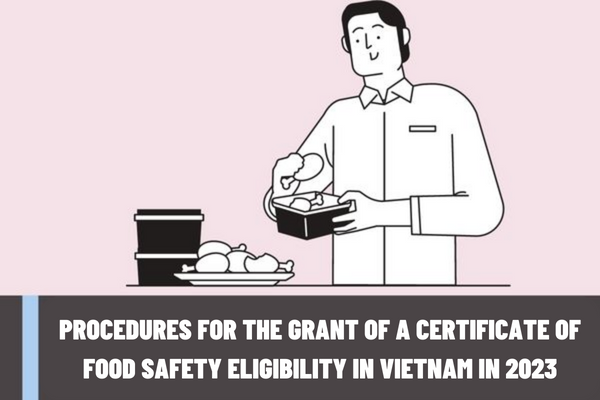 What are the procedures for the grant of a Certificate of food safety eligibility in Vietnam in 2023?