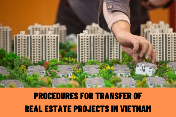 What are the procedures for transfer of real estate projects in Vietnam? What are the requirements in terms of transfer of all or a portion of real estate projects in Vietnam?