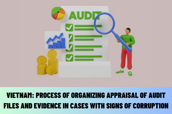 Vietnam: What is the process of organizing the appraisal of audit files and evidence in cases with signs of corruption of the unit presiding over the audit?