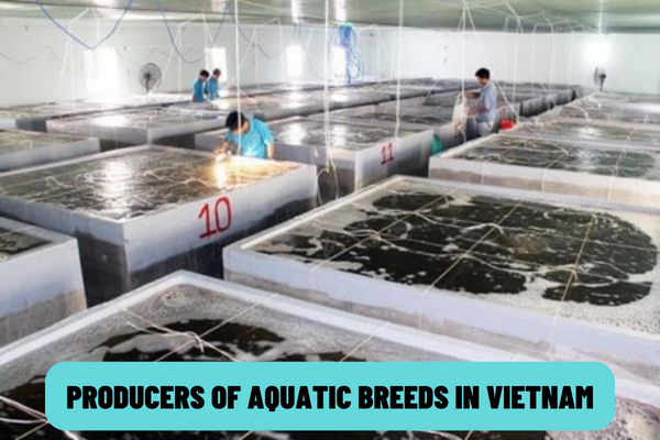 What are the conditions of producers of aquatic breeds in Vietnam? What are the procedures for issuance of the certificate of eligibility for production of aquatic breeds in Vietnam?