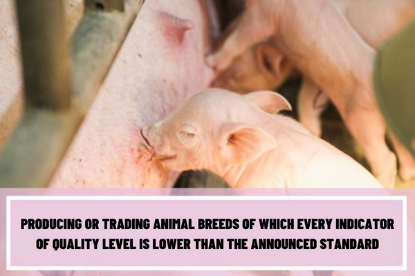 Vietnam: What are the penalties for the act of producing or trading animal breeds of which every indicator of quality level is lower than the announced standard?