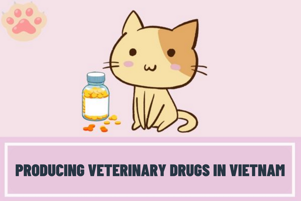 What are the requirements for production of veterinary drugs in Vietnam? What are the procedures for granting the Certificate of eligibility for producing veterinary drugs in Vietnam?