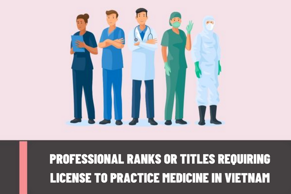 Which professional titles are required to have a license to practice medical examination and treatment? In what cases is a medical practitioner suspended from practice medicine in Vietnam?