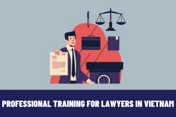 What are the contents and forms of professional training for lawyers in Vietnam?