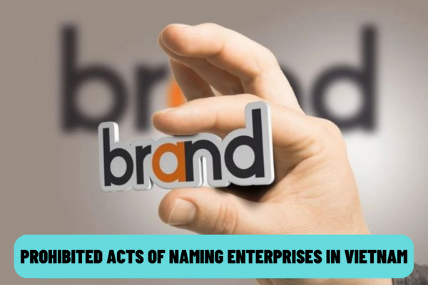 What are the prohibited acts of naming enterprises in Vietnam? What are the identical and confusingly similar names in Vietnam?