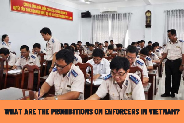 What are the prohibitions on enforcers in Vietnam? What are the tasks and powers of enforcers in Vietnam?