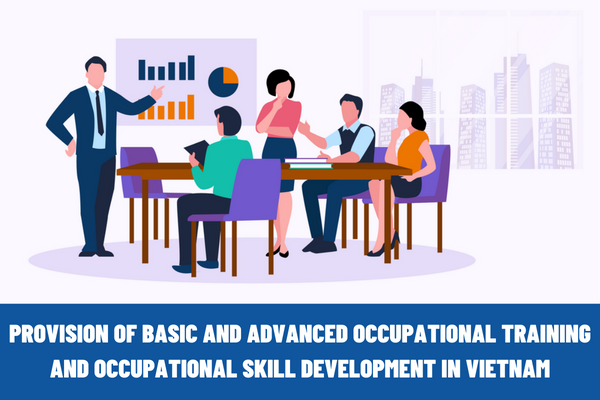 What are the responsibilities of employers for provision of basic and advanced occupational training and occupational skill development in Vietnam?