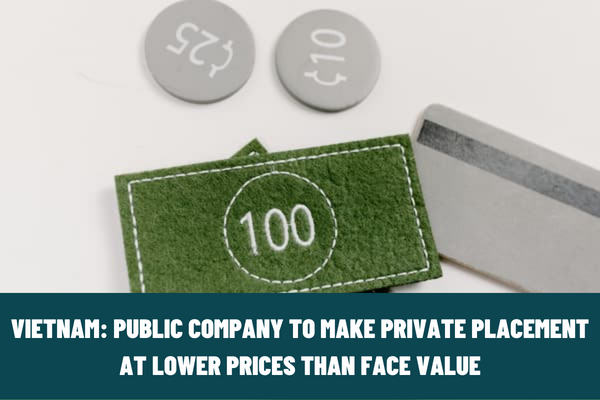 What is included in the application for private placement at lower prices than face value applicable to a public company in Vietnam?